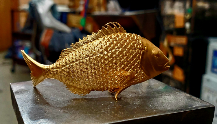 純金魚